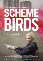 Scheme Birds