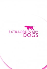 Extraordinary Dogs