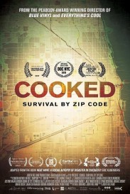 Cooked: Survival by Zip Code